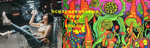 мяу мяу мука Алзамай
