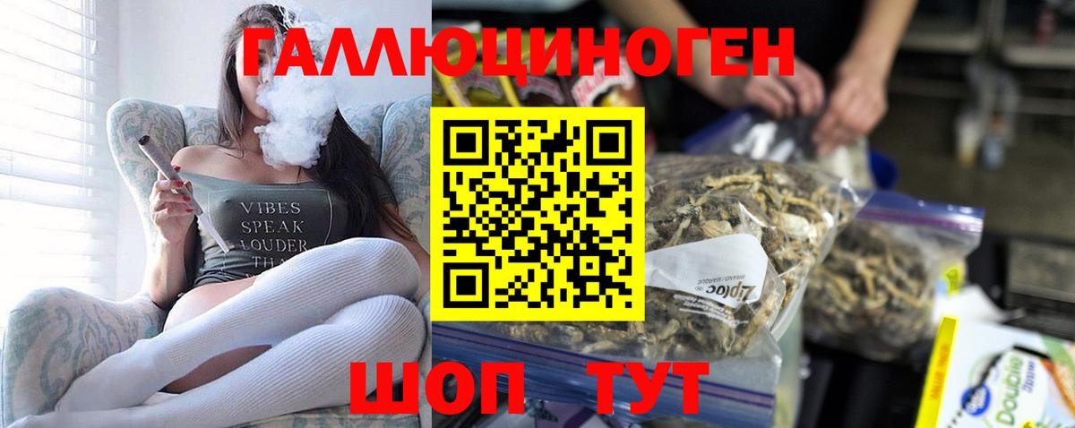 Псилоцибиновые грибы Magic Shrooms  Вход с VPN  Псилоцибиновые грибы Psilocybine cubensis  Слободской 
